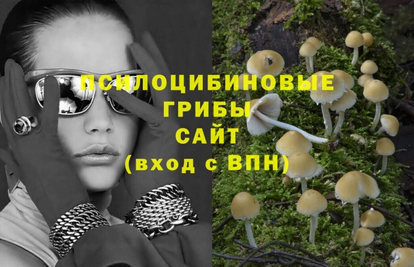 скорость Заволжье