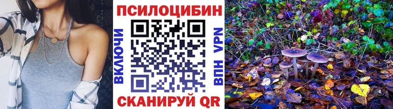 ссылка на мегу как зайти  Городовиковск  Галлюциногенные грибы Psilocybe  наркота 