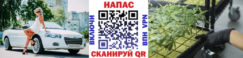 hydra как войти  Городовиковск  Марихуана планчик  что такое  